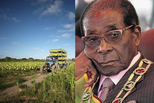 Zimbabwe offers £2.7 billion compensation to 4,500 white farmers whose land was seized by Robert Mugabe